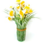 Ikebana Narcis 474 