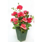 IKEBANA 5688