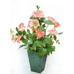 IKEBANA 5688