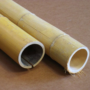 BAMBUS, D 100-160mm, H 2m