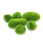 Muschi artificiali  (6buc) 