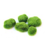 Muschi artificiali  (5buc)  